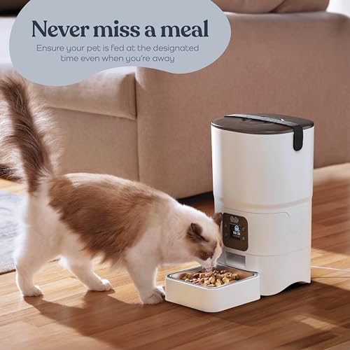 Smart Automatic Cat Feeder - 6-L Reliable Automatic Cat Food Dispenser with Display LCD Screen for Easy Set Up -Portion Control Automatic Dog Feeder - Desiccant Bag Keeps Dry Food Fresh-Voice Recorder